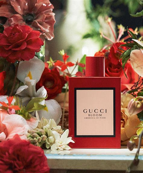 parfum gucci bloom ambrosia di fiori|gucci bloom acqua di fiori.